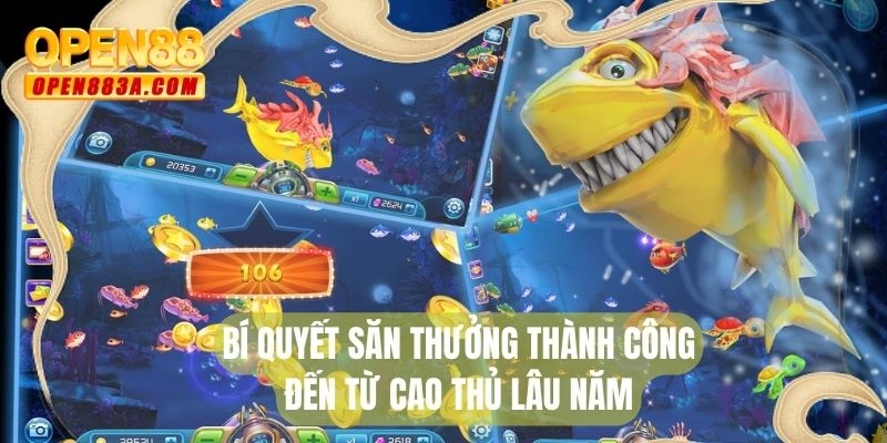 Bí quyết săn thưởng thành công đến từ cao thủ lâu năm